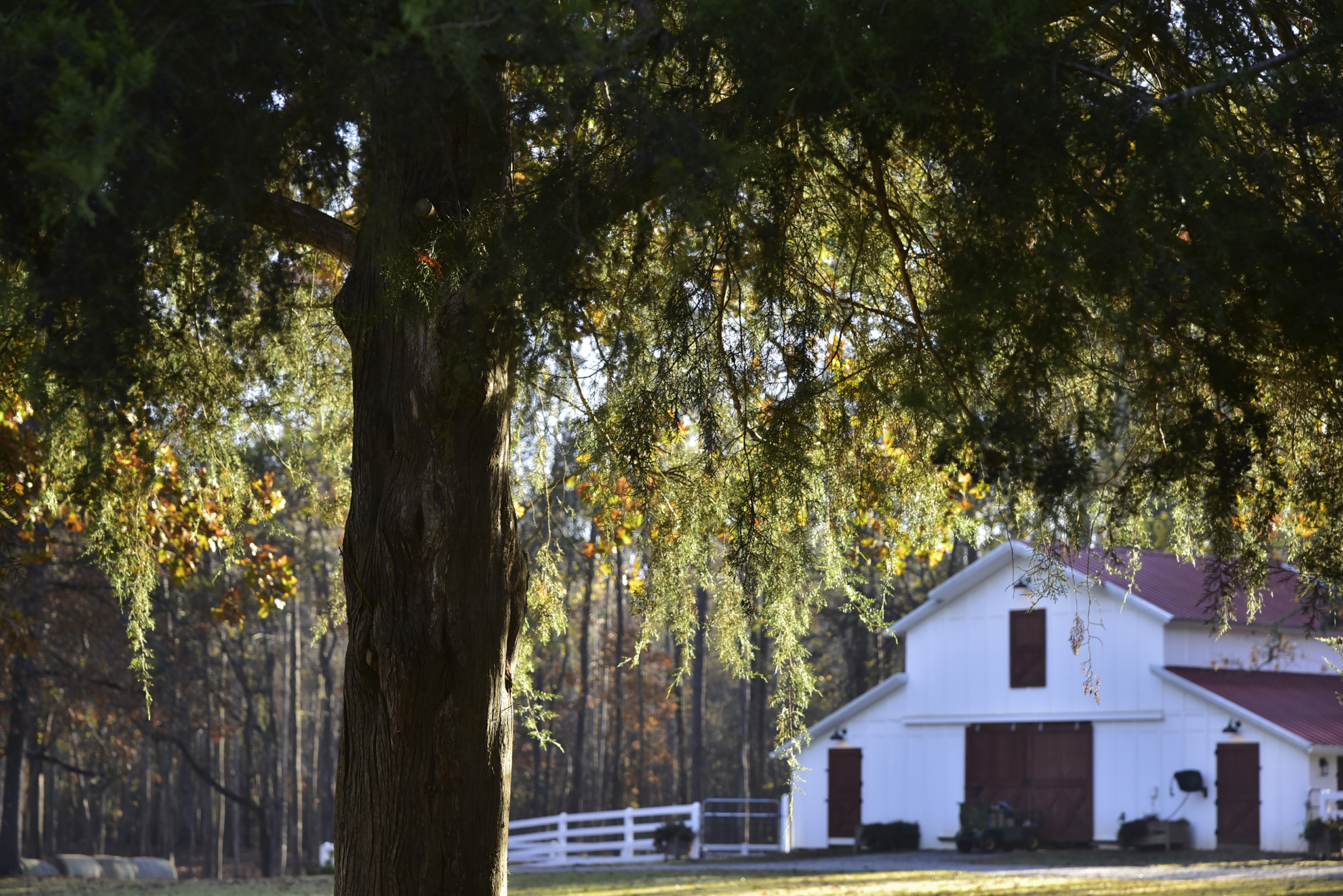 44 Farmhouse WEB 001